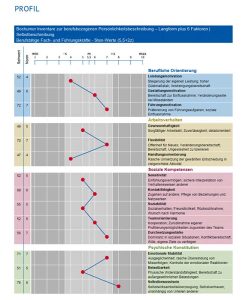 bip-musterprofil Ansicht eines Musterprofils des BIP